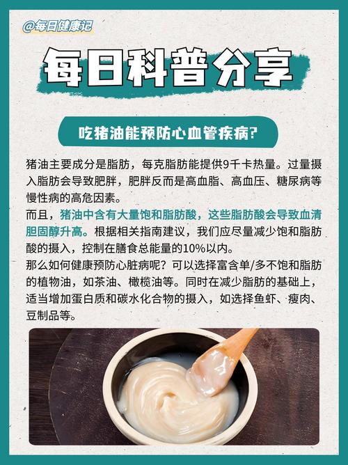 为什么不建议吃猪板油（猪板油含高饱和脂肪与胆固醇，限量使用并改用橄榄油等植物油）