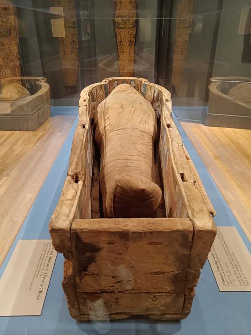 中国也有木乃伊正确吗（新考古发现全球烟熏干尸并非埃及专属）