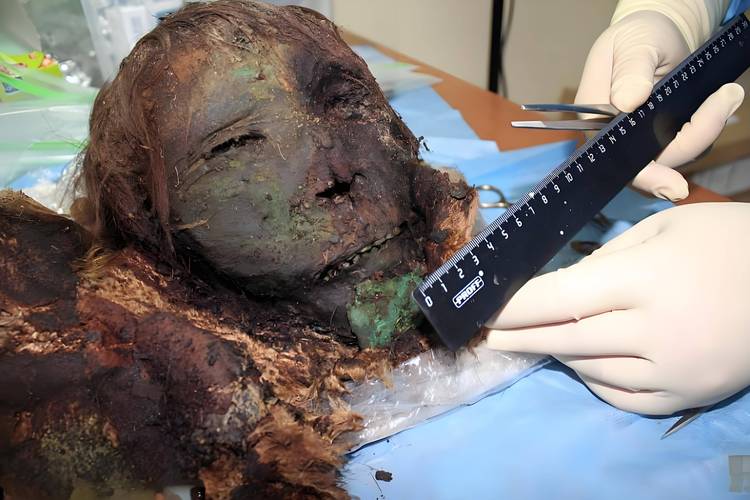 制作木乃伊的人叫什么(木乃伊由祭司与匠人共同完成的仪式与技术体系) 制作木乃伊的人叫什么(木乃伊由祭司与匠人共同完成的仪式与技术体系)