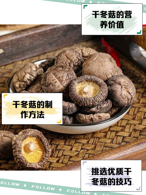 香菇晒干就是冬菇了吗（香菇与冬菇的区别选购与烹调要点）