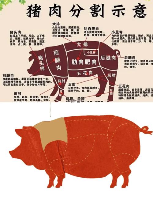 猪胸肉是最差的吗（猪肉选购指南胸肉不错避开脖子肉看部位和脂肪纹理）