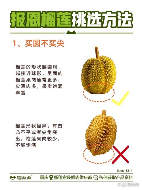 榴莲越大越好吗为什么（榴莲大小不是关键，品种成熟度与吃法场景才决定口感）