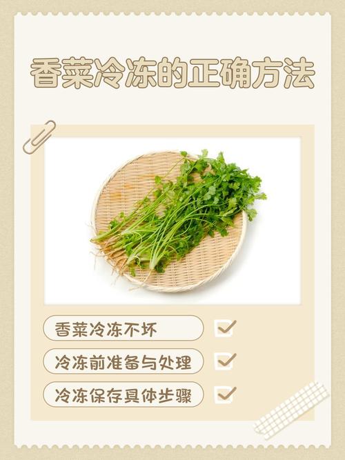 煮熟的蔬菜放冷冻能保存几天（家用冷冻食材保鲜期限与解冻要点）