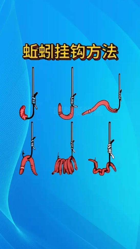 挂蚯蚓方法图解（水情搭配与技巧）