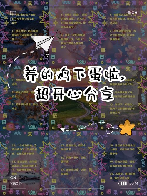 一只鸡一天就能生30个蛋（高产蛋鸡日产目标0.6枚以上的管理要点）