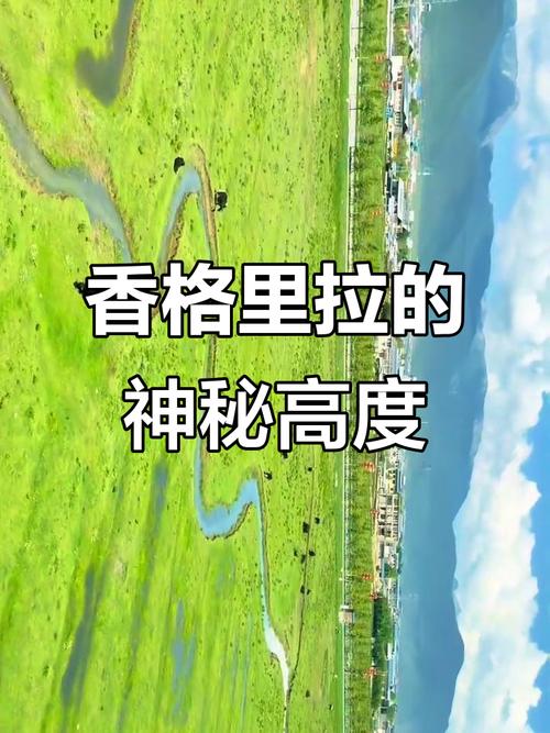 香格里拉有高原反应吗（香格里拉高海拔须知与高原反应预防）