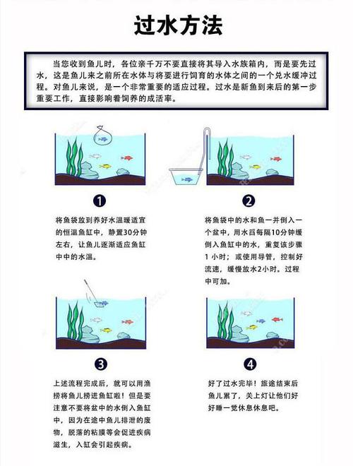 凤尾鱼小崽怎么养活（分离幼鱼繁育要点网箱小缸控水喂养）