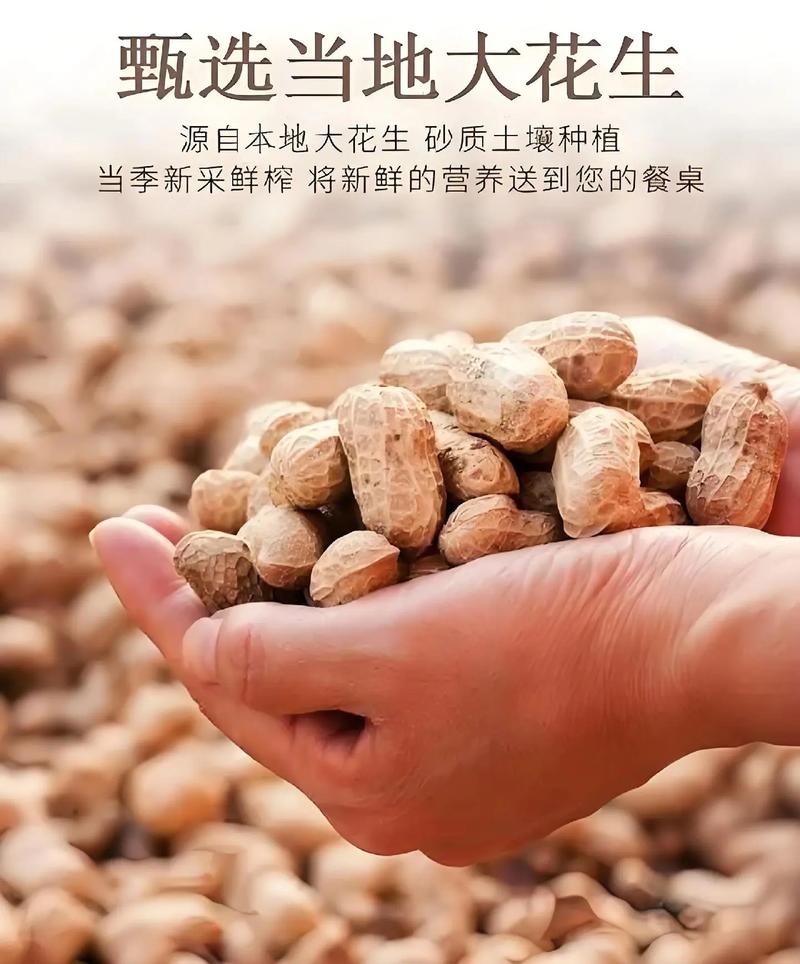 花生米出油率压榨法（选新鲜花生控水炒香低温压榨与避光保存）