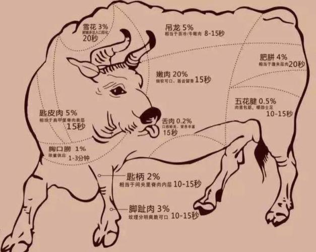 牛肉最嫩的部位图解（里脊最嫩肋条慢炖最香，选购看这三要素）
