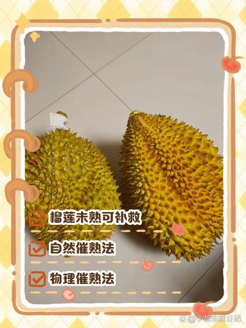 榴莲扒开了一点没熟还能放吗（室温催熟乙烯催熟要点与判断，避免变质）