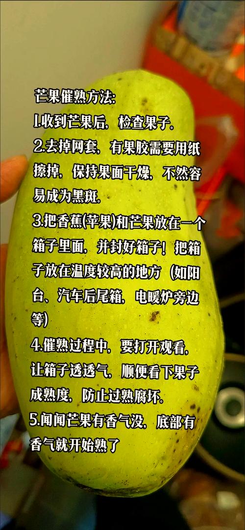 芒果催熟剂正确使用方法（乙烯利用法及自然催熟对比）