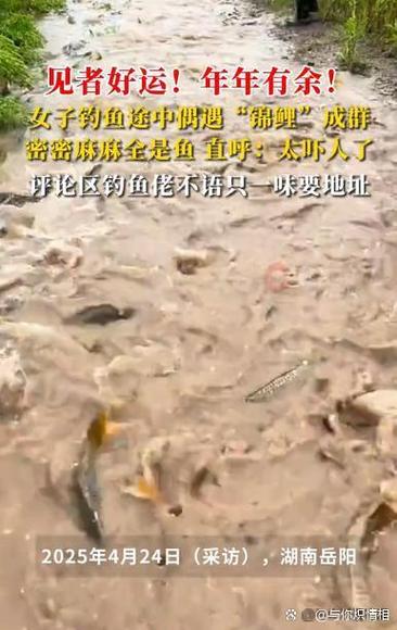 阴雨天鲤鱼甩籽吗（水温深度地形与饵料）