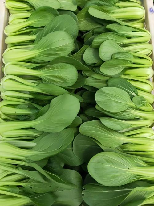 可以放久一点的蔬菜（蔬菜耐贮性分级储存要点一览）