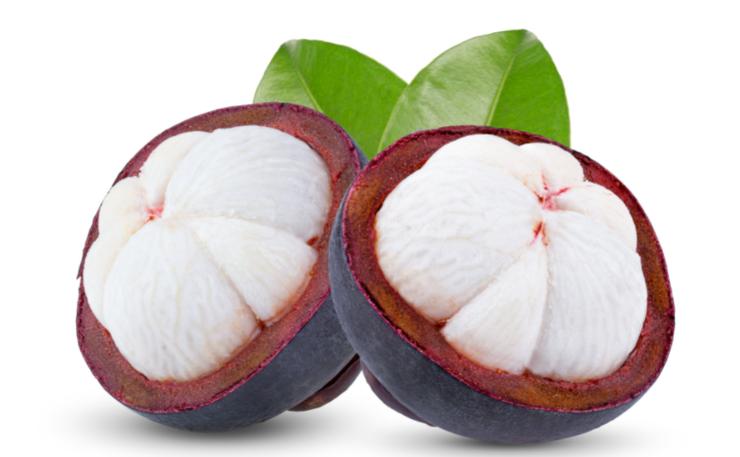 山竹几月份吃是正季（5–9月最佳）