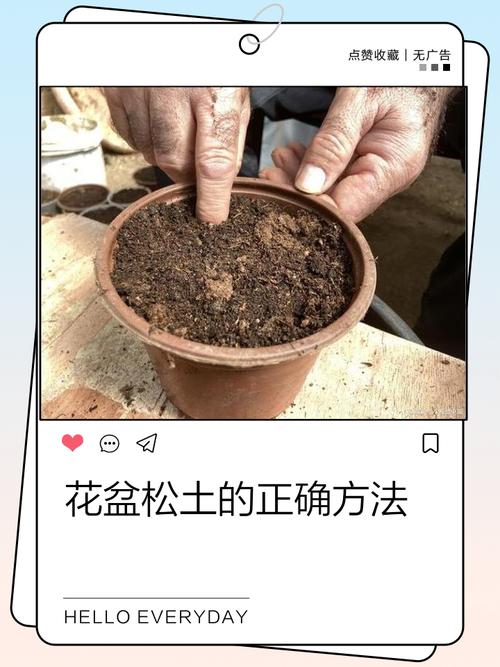 松针土能直接种花吗（松针土发酵消毒后再用，适酸性花卉盆栽基质）