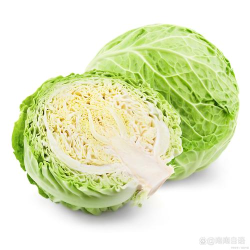 什么蔬菜可以放很久（蔬菜耐贮性分类与家庭储存要点全解）