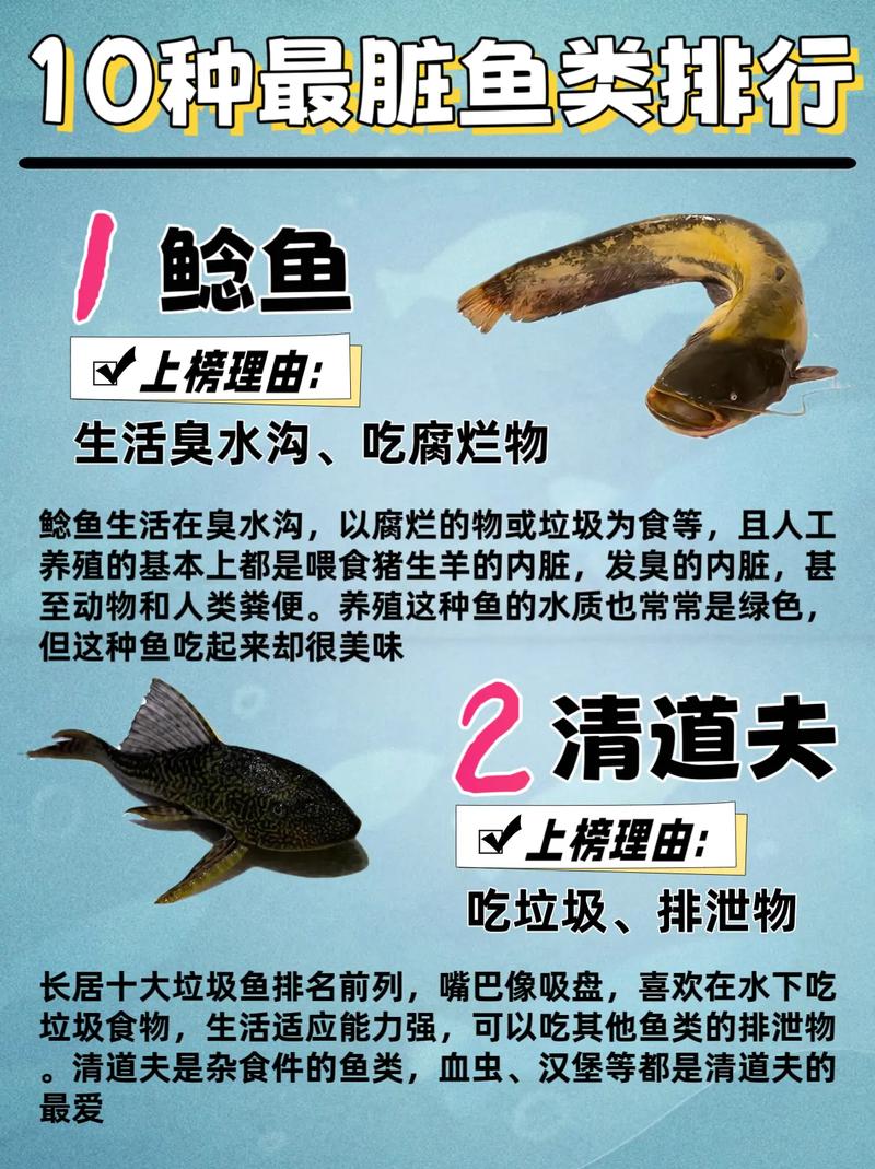 钳鱼是最脏的鱼吗（关注产地与处理才安全）