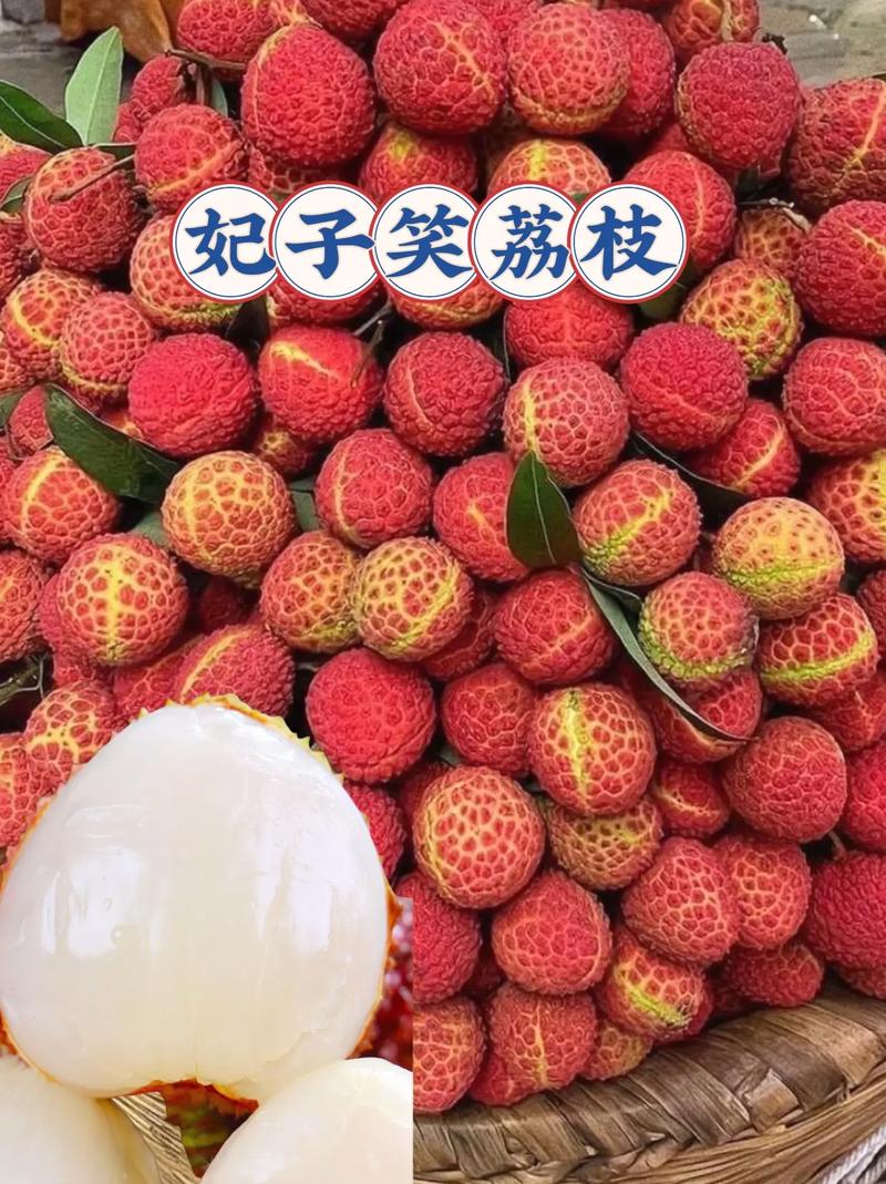 妃子笑荔枝上火吗（荔枝是夏日热性水果，吃要控量，防上火和血糖波动）