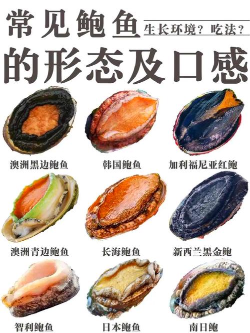 鲍鱼属于甲壳动物还是软体动物（鲍鱼其实是软体动物，别只看壳形）