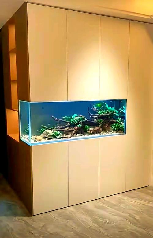 鱼缸在客厅的最佳位置示意图（位置角度禁忌与维护）