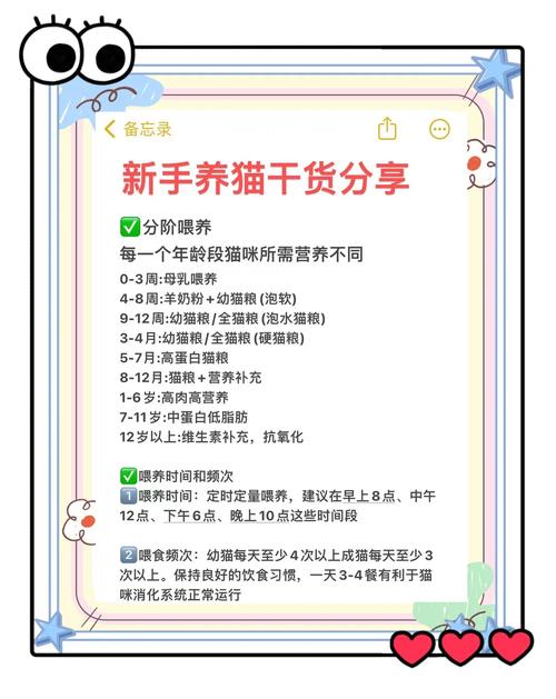 猫咪一个人在家能待几天（1天低风险2–3天可控超3天请人照看）