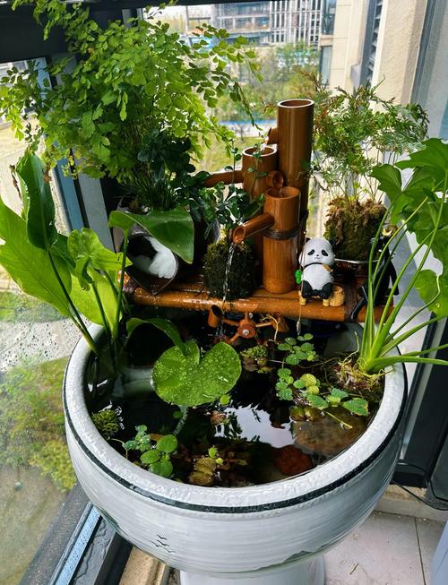 大缸养鱼的正确方法（慢养自然清水）