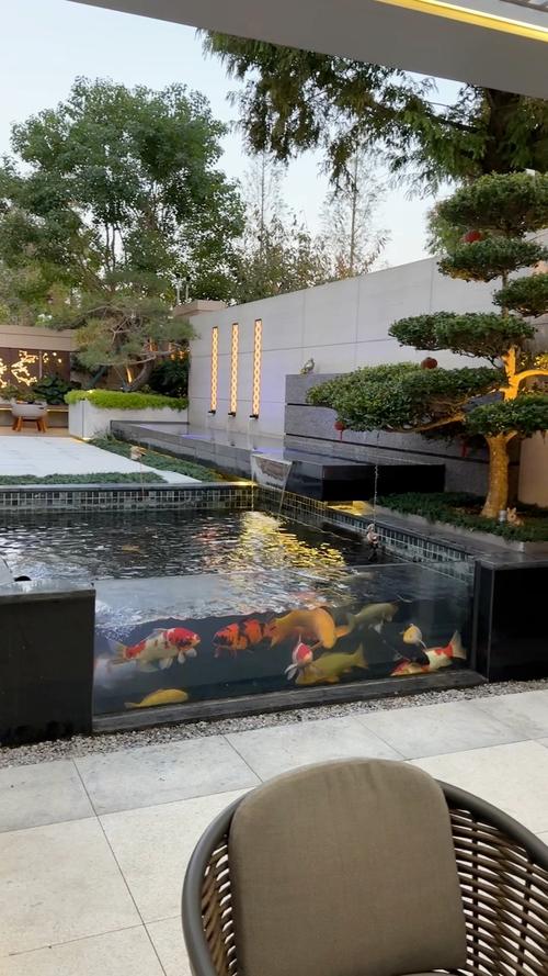 庭院自砌鱼池一般多高（庭院鱼池深度要点锦鲤过滤围栏与维护）