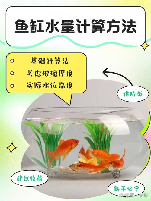 水池养鱼需要多深的水（维持2.5-3米水深，定期监测水质并增氧）