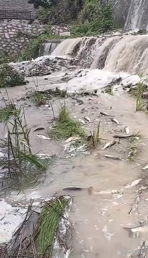 鱼塘下面水会流走吗(塘底水安全靠看不见的地下渗漏与防渗要点)