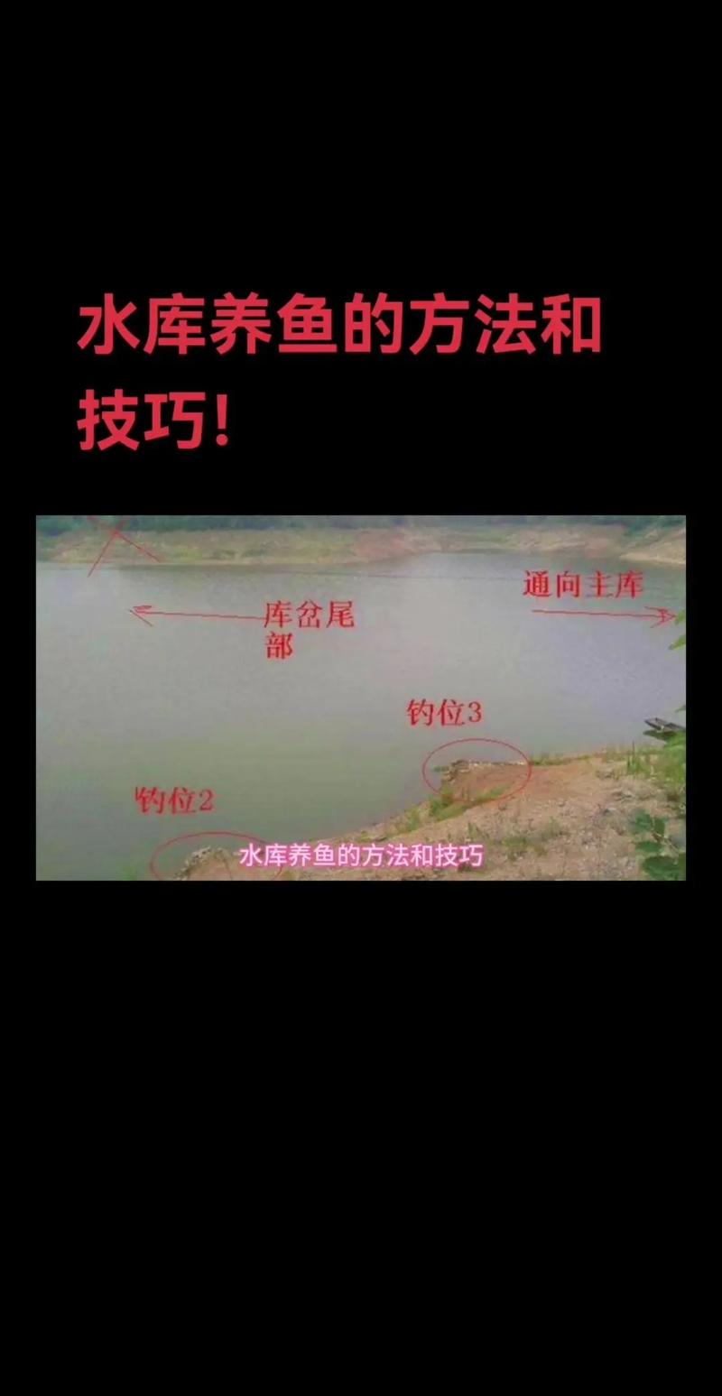 冬季鱼塘怎么管理（水温溶氧投喂三线稳态要点）