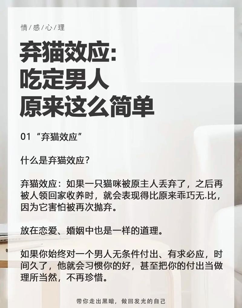 丢了猫千万别找为什么（猫咪走失别慌，72小时黄金期全方位找猫指南）