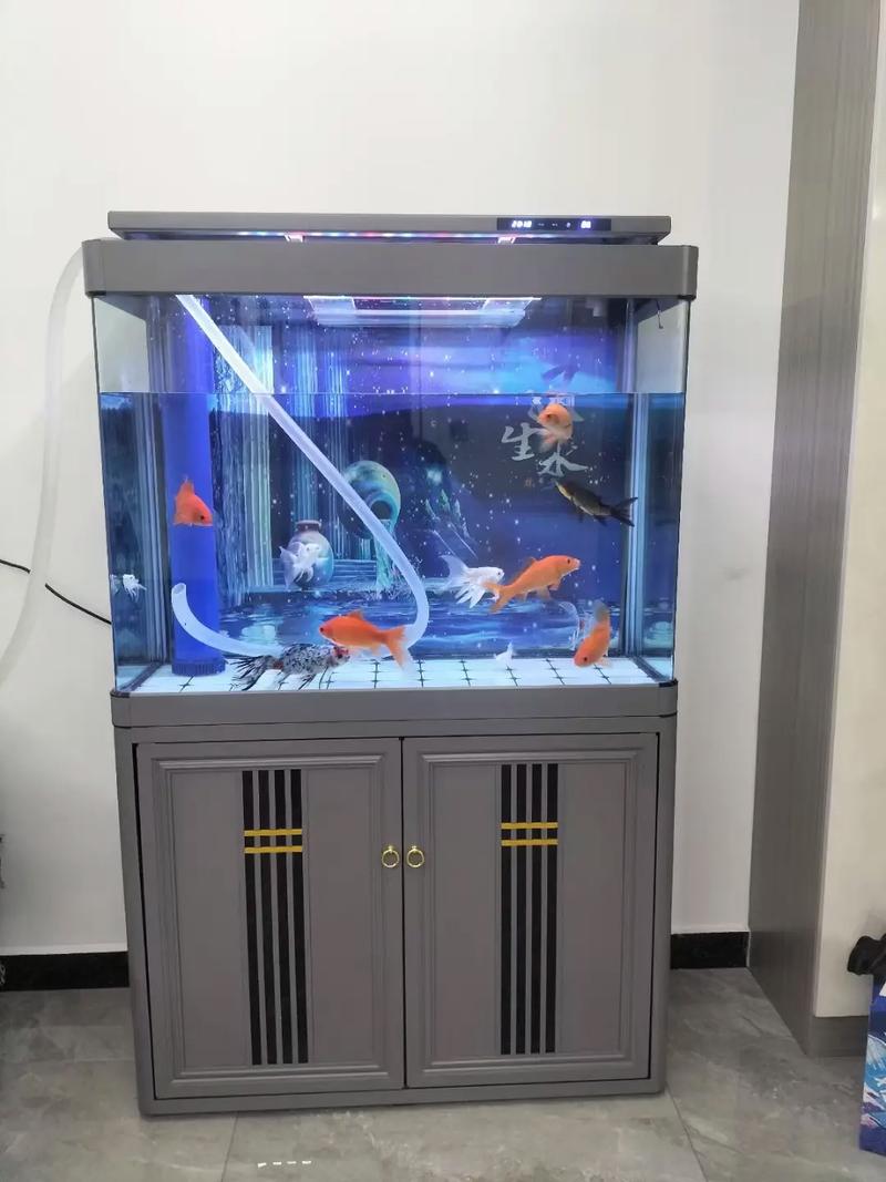 热弯鱼缸好还是直角的好(尺寸玻璃形状与承压选法) 热弯鱼缸好还是直角的好(尺寸玻璃形状与承压选法)