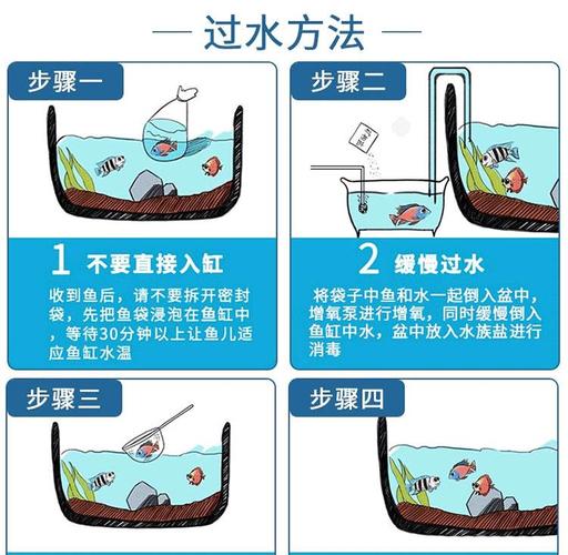 鱼塘加水的正确方法（养殖用水预处理要点进水过滤控藻和水位温控）