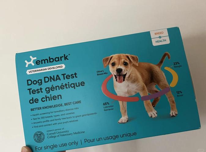 狗可以做dna检测吗（遗传病筛查血统鉴定个性化护理）