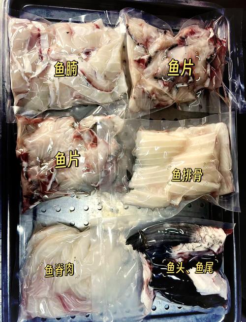 脆肉皖鱼是怎么养的（脆肉皖鱼养殖核心水质池塘条件与喂养要点）