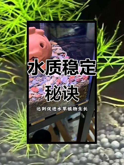 火山石鱼缸水浑是没洗干净吗（火山石水族箱清洗放置与日常监测要点）