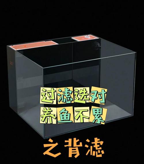 养鱼鱼缸盖要不要打开（缸盖作用与季节调节防跳控温增氧实用指南）