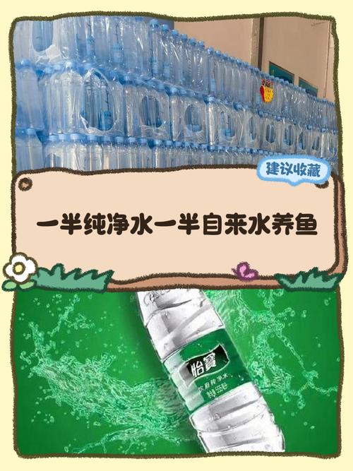 喝的纯净水能养鱼吗（纯净水养鱼不可单靠，需矿物质缓冲剂与控氧控水）