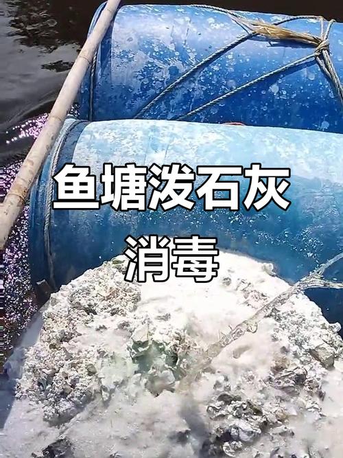 鱼塘有鱼怎样用生石灰消毒（用量时机与禁忌）