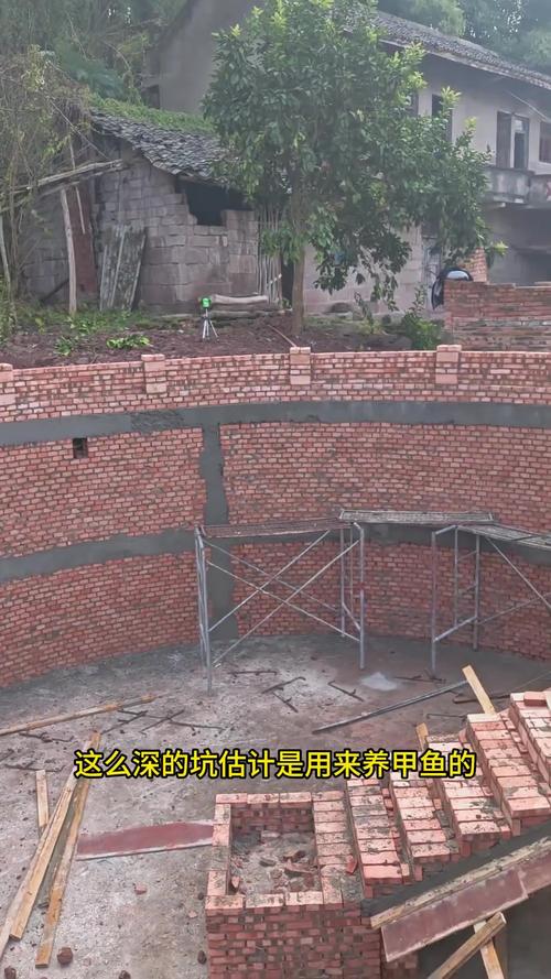 怎样挖一个小型鱼塘(小型鱼塘生态系统设计要点)