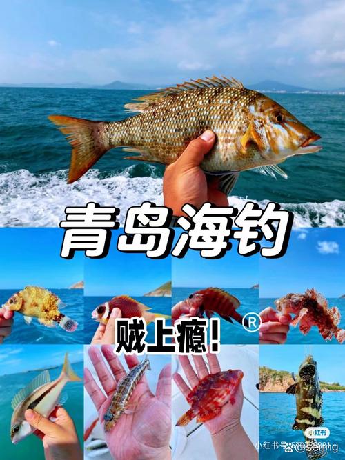 海里水深30米能钓什么鱼（海鲈鳕鲑等鱼与技巧）