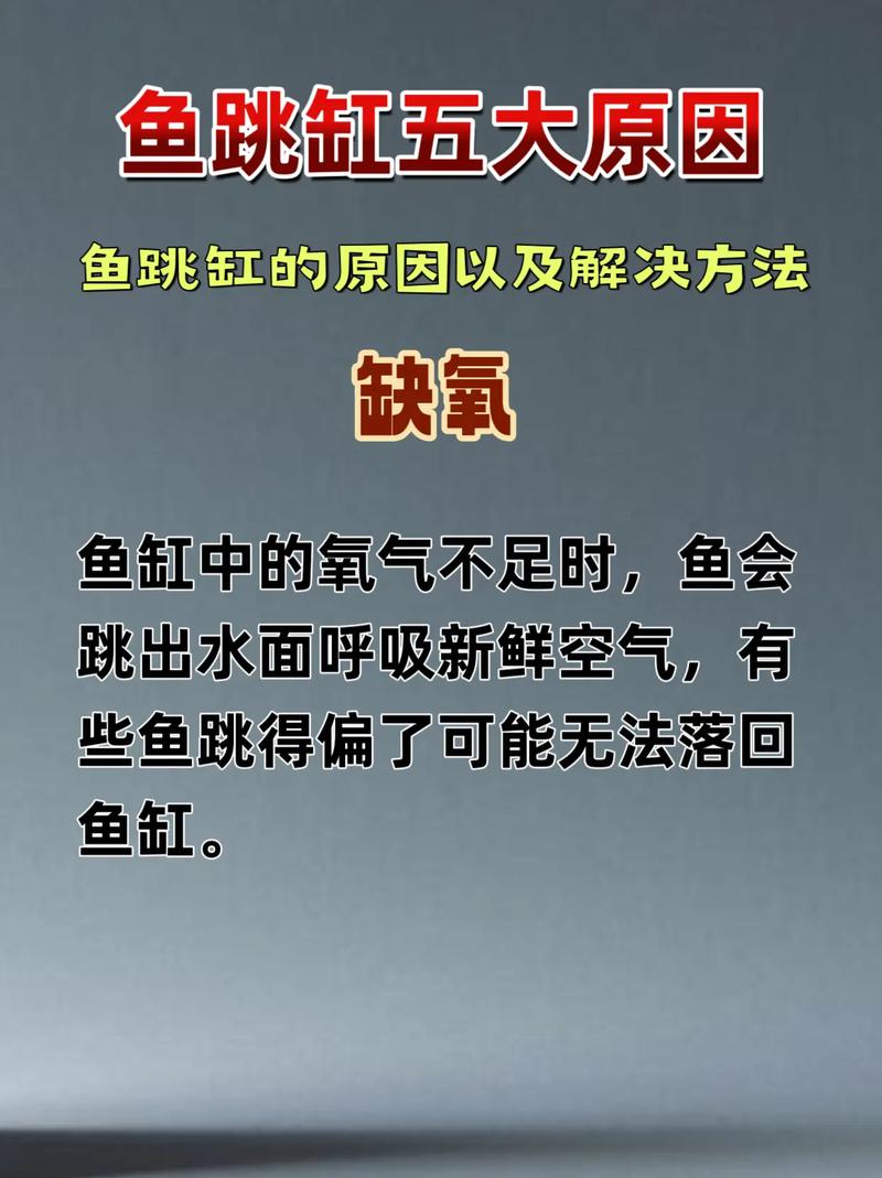 鱼团灭怎么重新开缸(消毒养水试水,稳控水质)