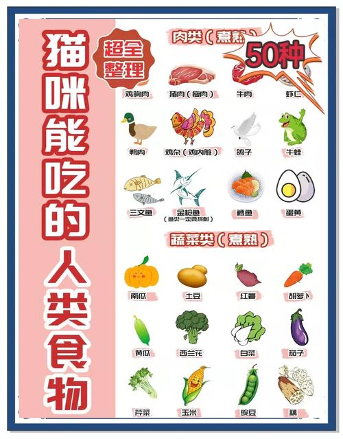 猫最爱吃的10个食物（猫咪适量吃人类食物的安全要点）