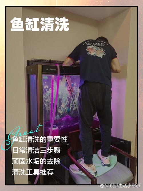 鱼缸水变清绝招(三类原因与快速对策)