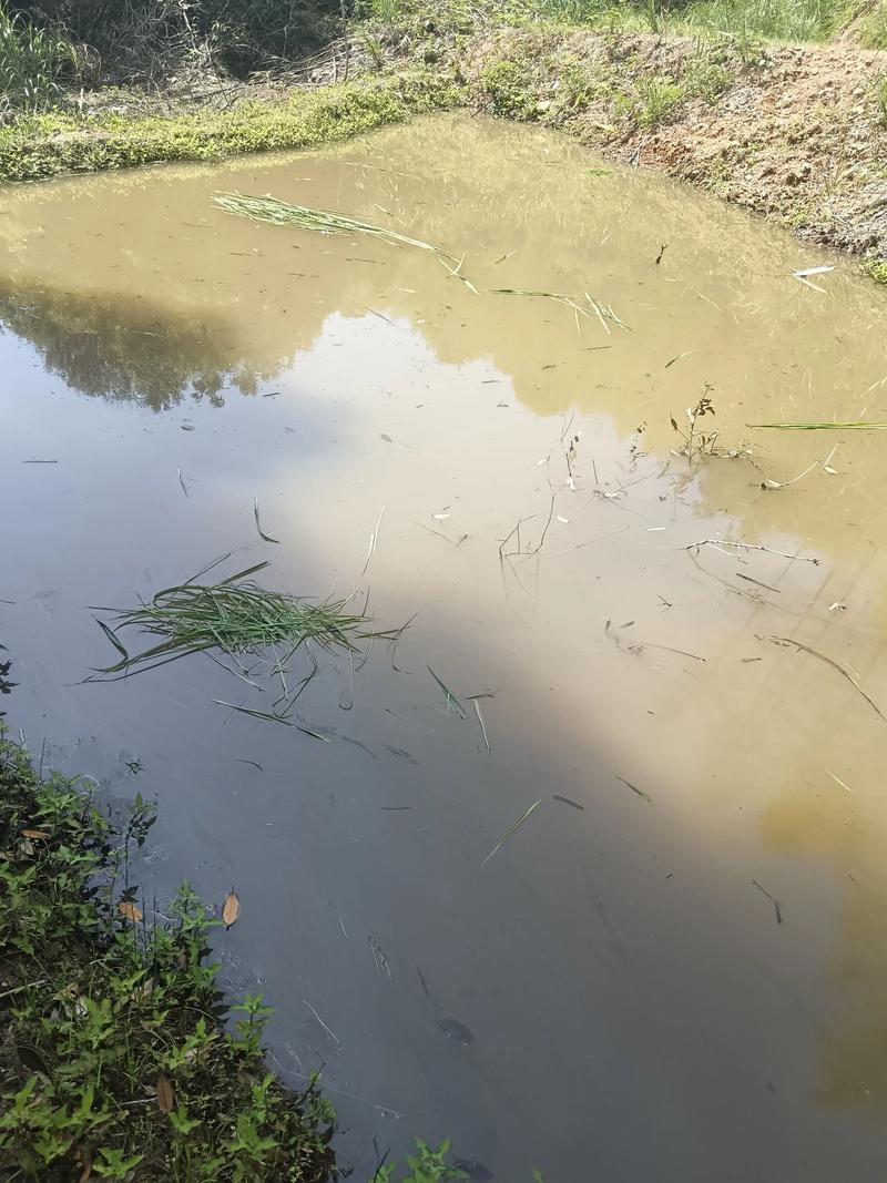 鱼塘底部水会流走吗（池塘养殖分层控温增氧与防渗护栏要点）