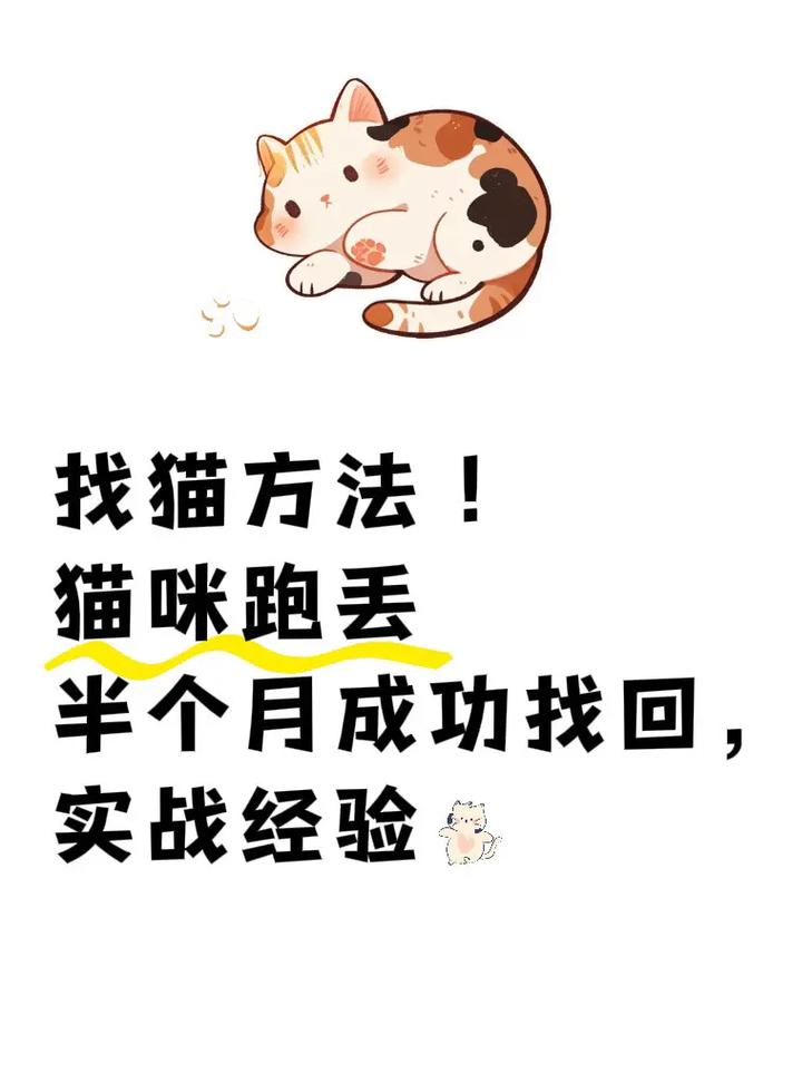 猫跑出去了怎么找（走失猫黄金时间快速搜寻要点及防走失）