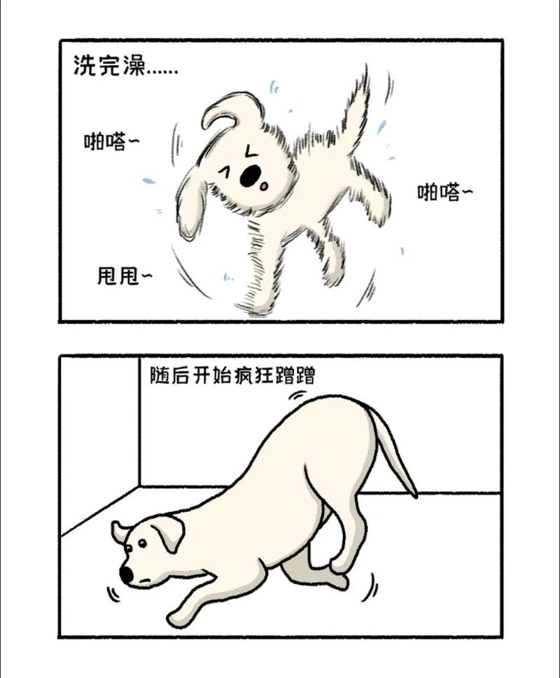 小狗洗完澡后为什么会一直发抖（洗澡后狗狗发抖怎么办？原因护理和就医要点）