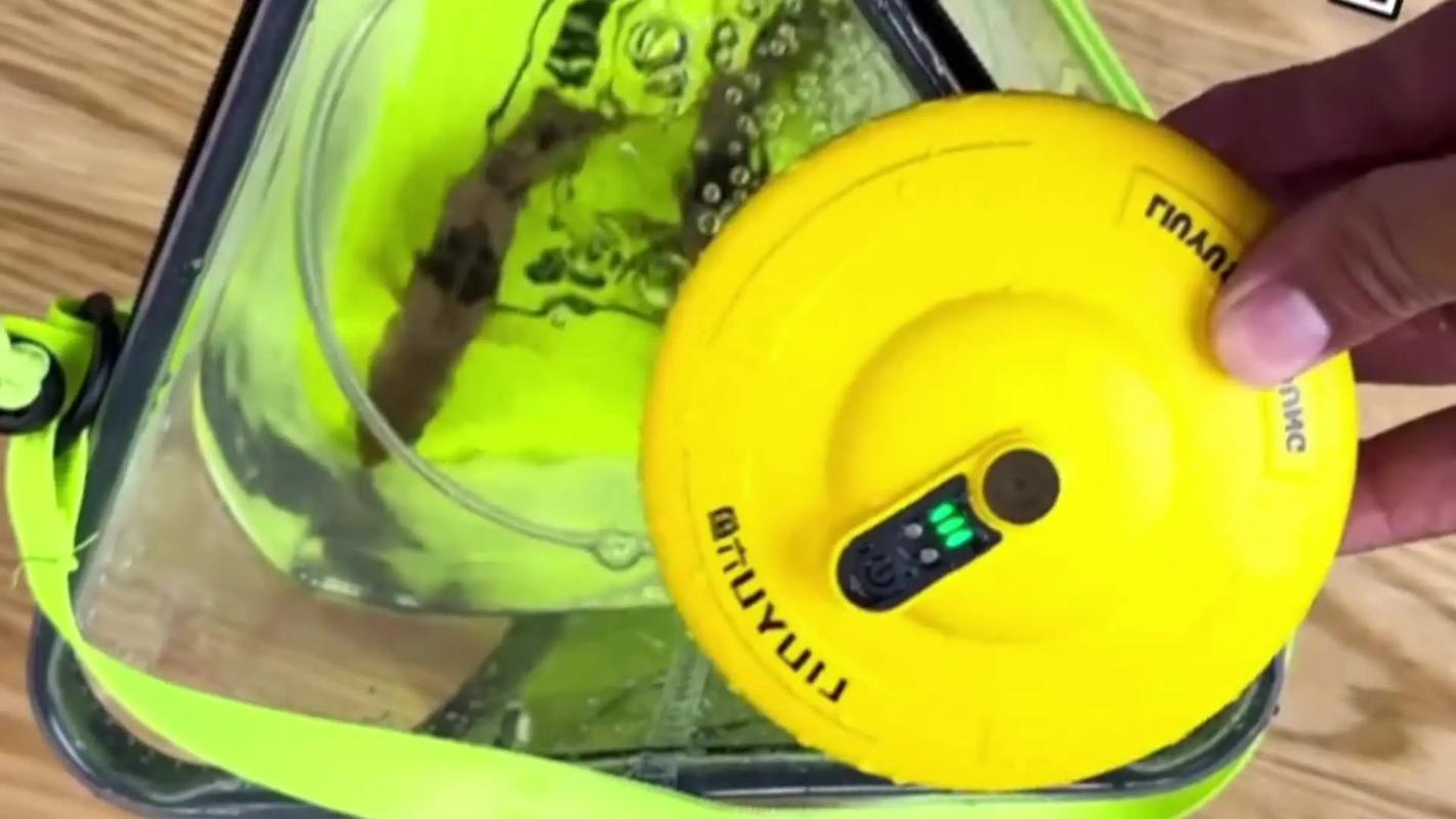 鱼放水桶里水会水氧气进去吗(持续溶氧与水质管理,定期换水) 鱼放水桶里水会水氧气进去吗(持续溶氧与水质管理,定期换水)