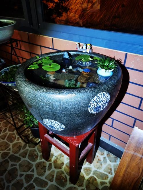 古法养鱼造景（小型生态系统养成要点）