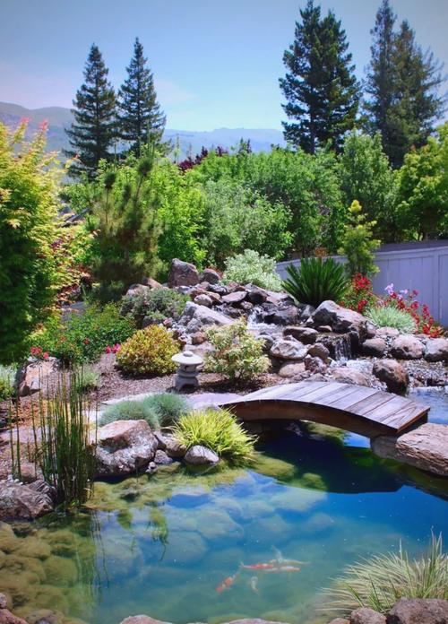 庭院养鱼池一般多深（按鱼种分层防冻）